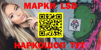 дмт Аргун