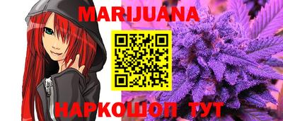 дмт Аргун
