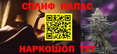 дмт Аргун