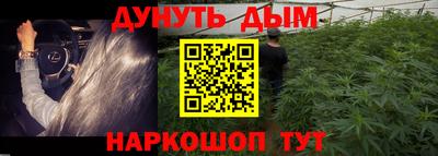 дмт Аргун