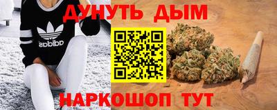 дмт Аргун