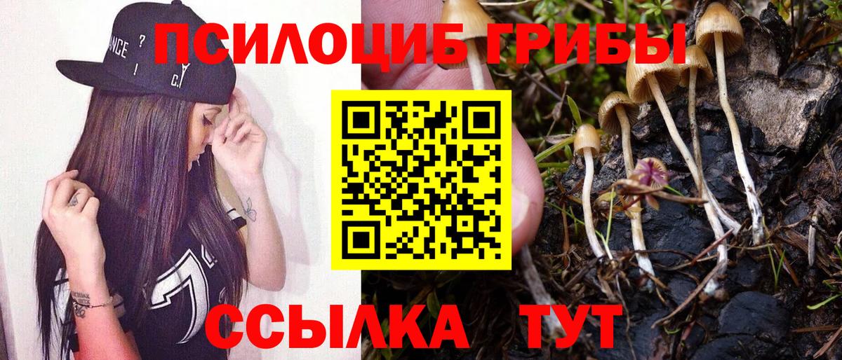 Псилоцибиновые грибы Psilocybine cubensis Воскресенск